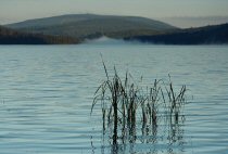 Ranní mlha nad soušskou přehradou