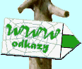 Pbuzn odkazy