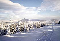 Bukovec nad osadou Jizerkou